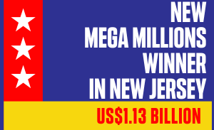 Mega Millions Winner - US$1.13Billion